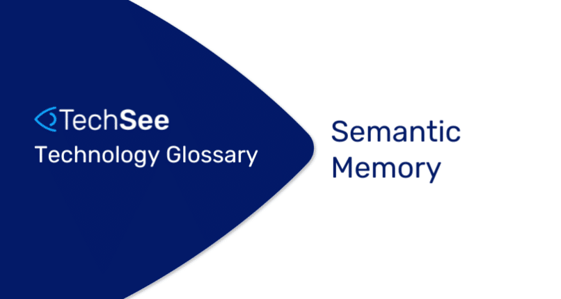 What is Semantic Memory?